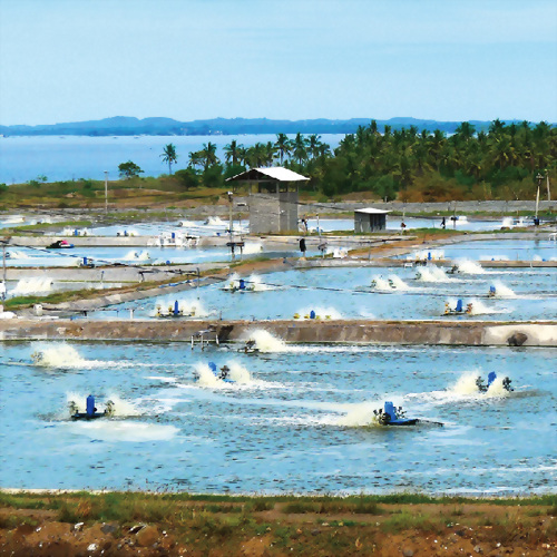 Aquaculture / Agriculture