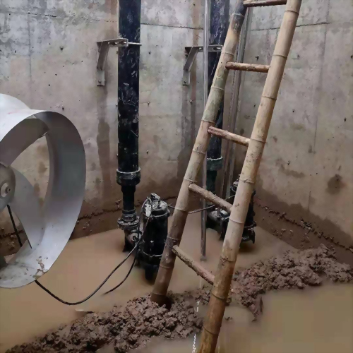 中國江蘇 淮安生豬養殖基地-污水池及生活區配套設施泵站 中國江蘇 淮安生豬養殖基地-污水池及生活區配套設施泵站