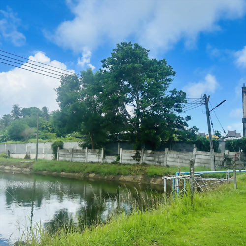 ฟาร์มกุ้ง – จังหวัดพังงา