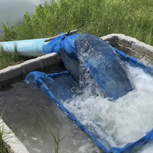 ฟาร์มกุ้ง – จังหวัดระนอง