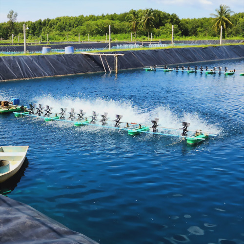 ฟาร์มกุ้ง (ฟาร์มคุณนิพล) – จังหวัดพังงา