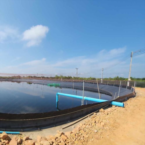 ฟาร์มกุ้ง – จังหวัดสุราษฎร์ธานี