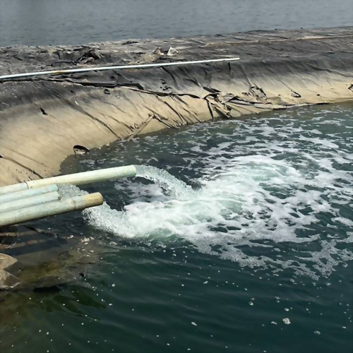 ฟาร์มกุ้ง – จังหวัดฉะเชิงเทรา