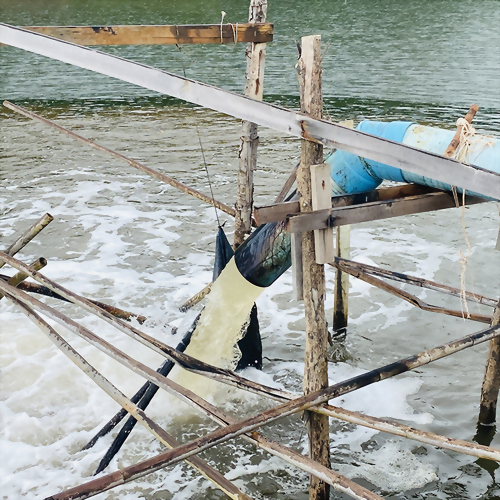 ฟาร์มกุ้ง – จังหวัดพังงา