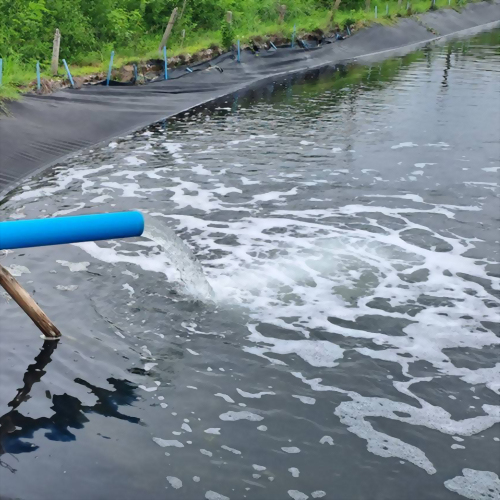 ฟาร์มกุ้ง – จังหวัดฉะเชิงเทรา