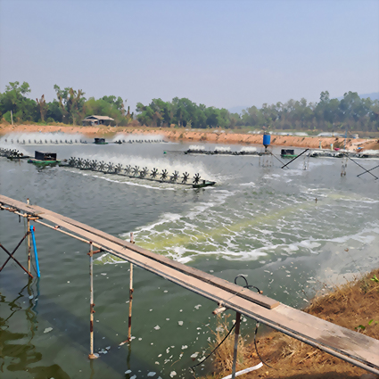 ฟาร์มกุ้ง – จังหวัดตราด