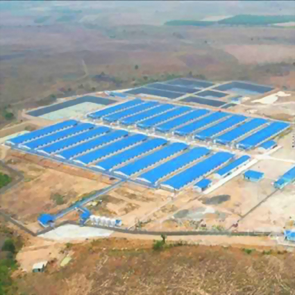 TRANG TRẠI HEO X TẠI GIA LAI TRANG TRẠI HEO X TẠI GIA LAI