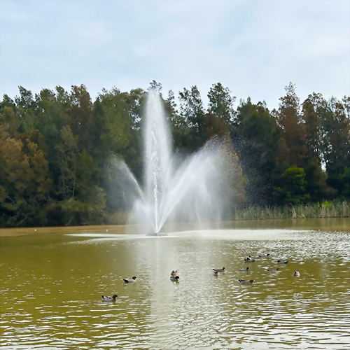 澳洲雪梨 公園景觀水池浮動式噴泉方案