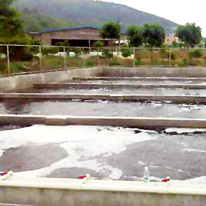 Sewage Treatment of Pig Husbandry in Shandong Province, China Sewage Treatment of Pig Husbandry in Shandong Province, China