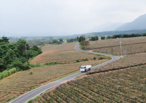 河見，與您共同支持屏東在地農產品