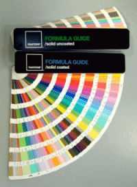 PANTONE color ticket 6310