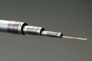 極速黑鯛 (Rapid)