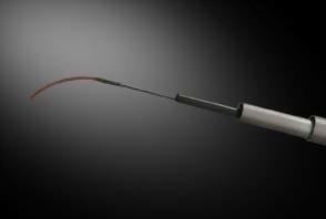 鯉波 (ECPRESS EXCELLENCE)