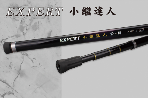 小繼達人 (Expert)