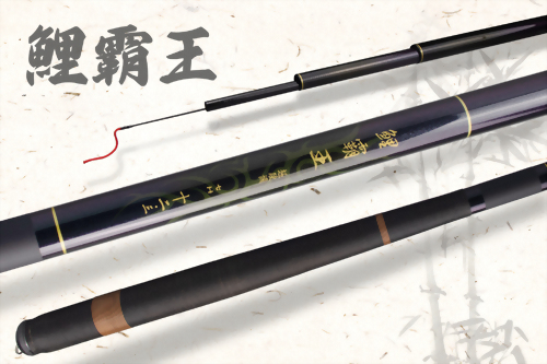 鯉霸王 (FRESH FIGHTING)