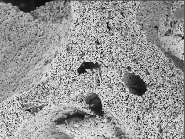 海昌膠原蛋白骨填料Horien Collagen Bone Graft Matrix