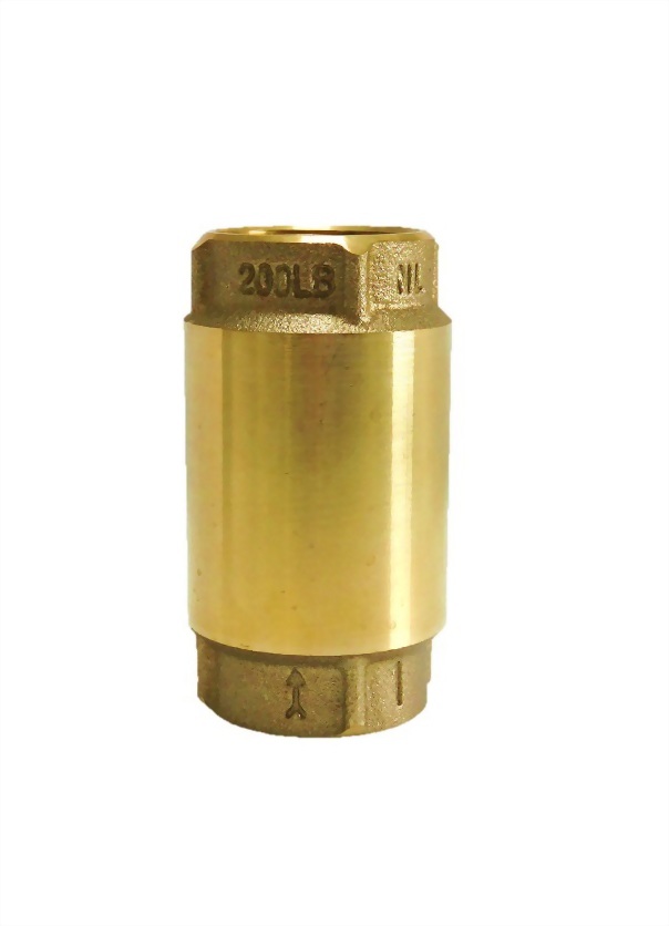 Water Well Supplies-Check Valves
