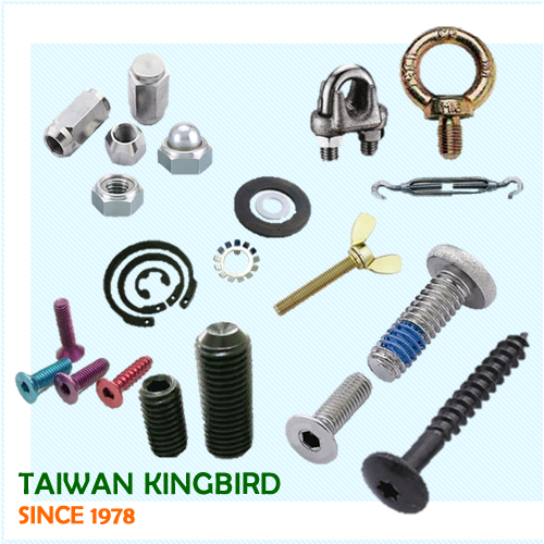 Fasteners Taiwan Kingbird