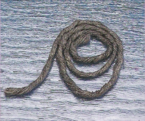 Graphite Packing Taiwan Kingbird