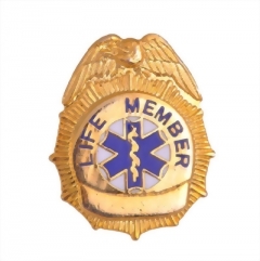 Fire and Med DP Badge 01