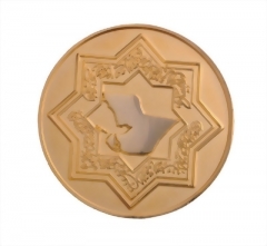 Custom Coins Lapel Pins 04
