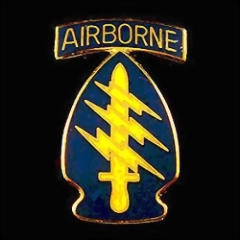 Military lapel pins MP013