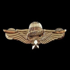 3D Die Struck Lapel Pins