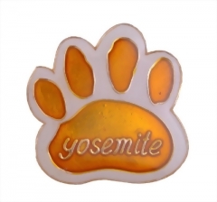 Cloisonne Lapel Pins