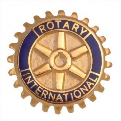 Imitation Enamel Lapel Pins