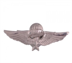Special Lapel Pins