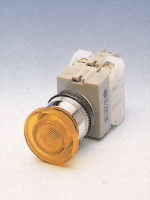 Illuminated Pushbutton Switches NIEPB22-1OC