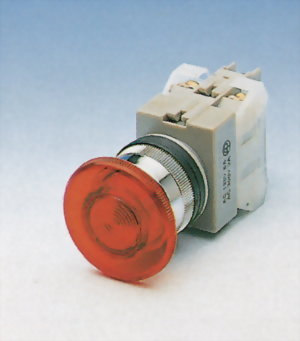 Illuminated Pushbutton Switches NIEPB25-1OC