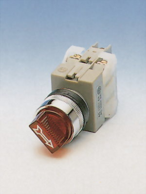 Illuminated Selector Switches NISS22-2O