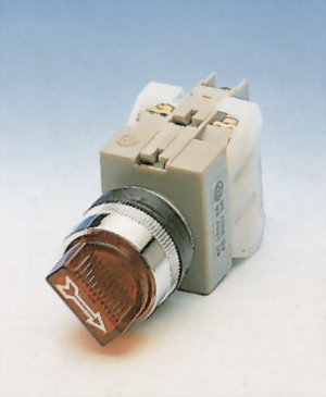 Illuminated Selector Switches NISS25-2O