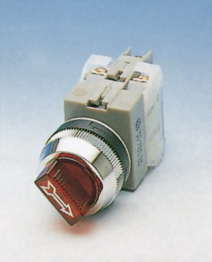 Illuminated Selector Switches NISS30-2O