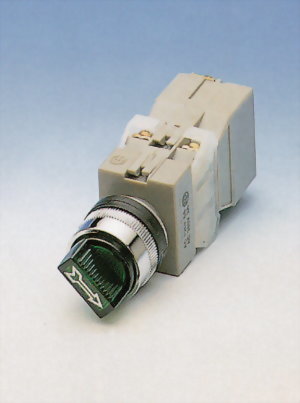Illuminated Selector Switches TISS22-2O