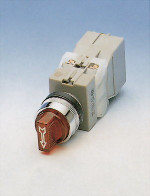 Illuminated Selector Switches TUSS22-1OC