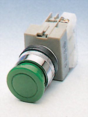 Pushbutton Switches AEPBS22-1C