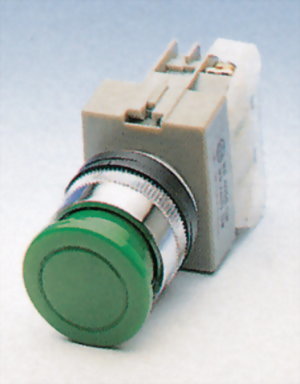 Pushbutton Switches AEPBS22-1O