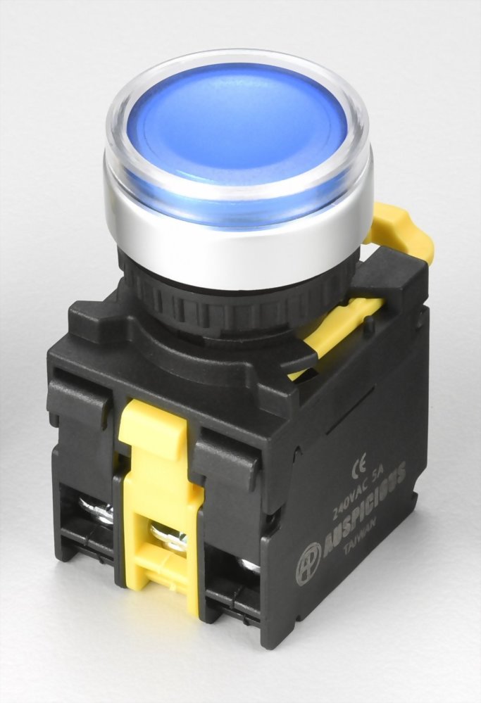 Illuminated Pushbutton Switches A2MGF11