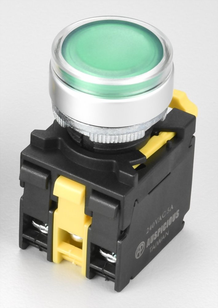 Illuminated Pushbutton Switches A2MRGF11