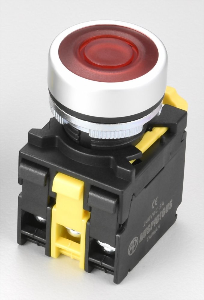 Illuminated Pushbutton Switches A2MRPFL11