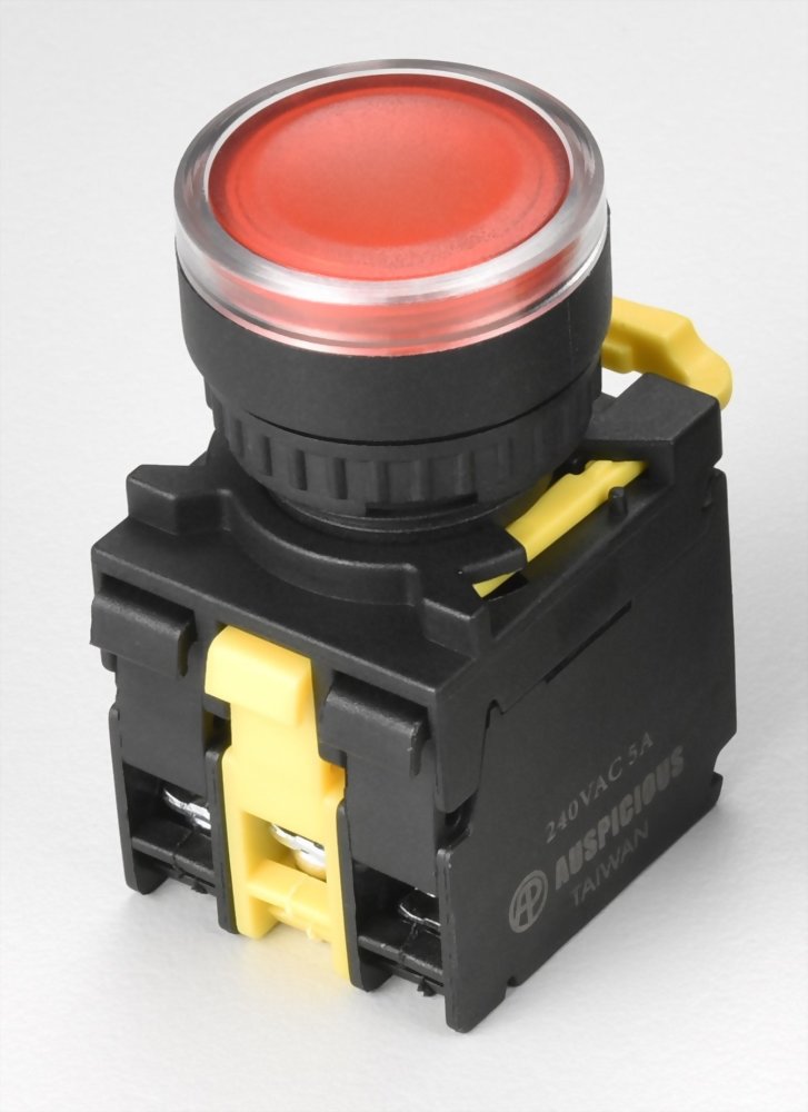Illuminated Pushbutton Switches A2PGF11
