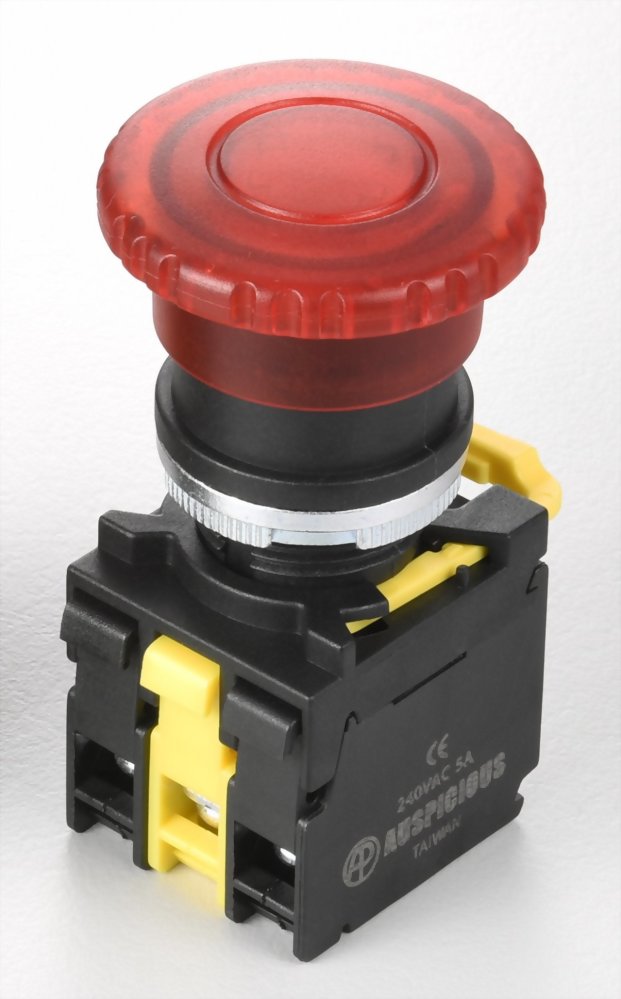 Illuminated Pushbutton Switches A2RML11
