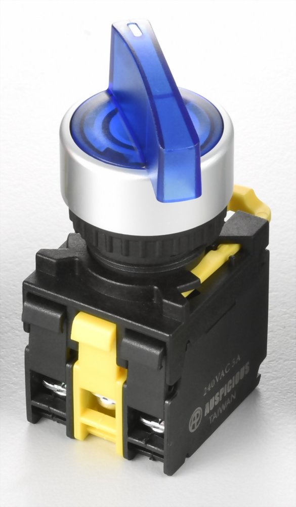 Illuminated Selector Switches A2MLSL211