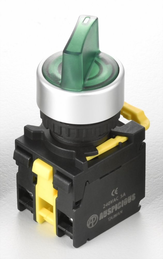 Illuminated Selector Switches A2MSL211