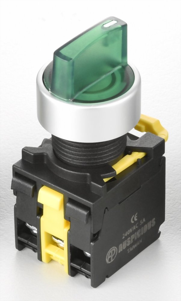 Illuminated Selector Switches A2MSL311