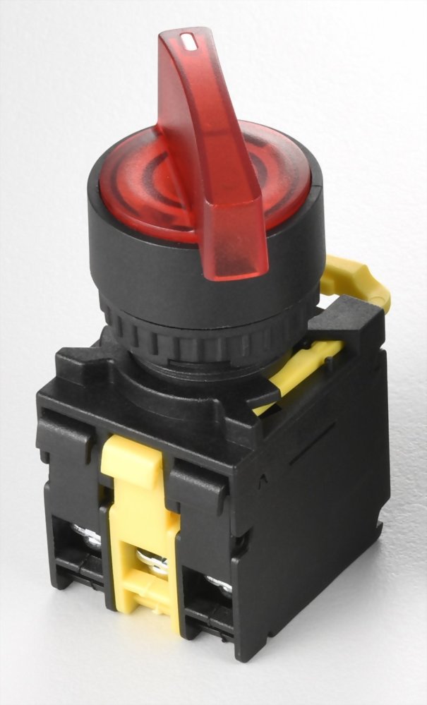 Illuminated Selector Switches A2PLSL211