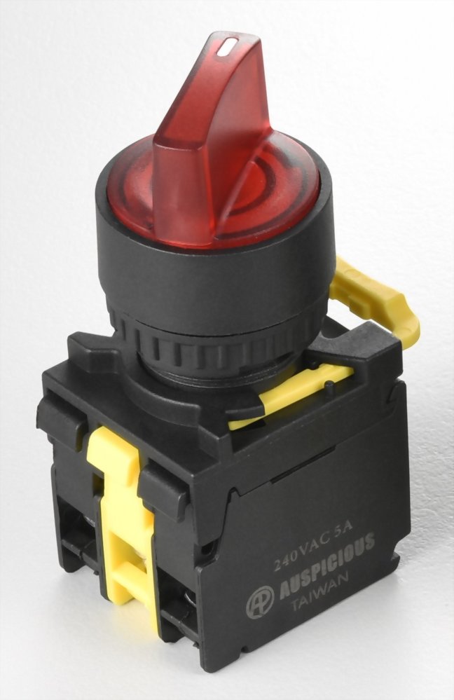 Illuminated Selector Switches A2PSL211