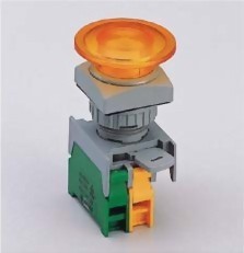 Illuminated Pushbutton Switches LXES22-1O